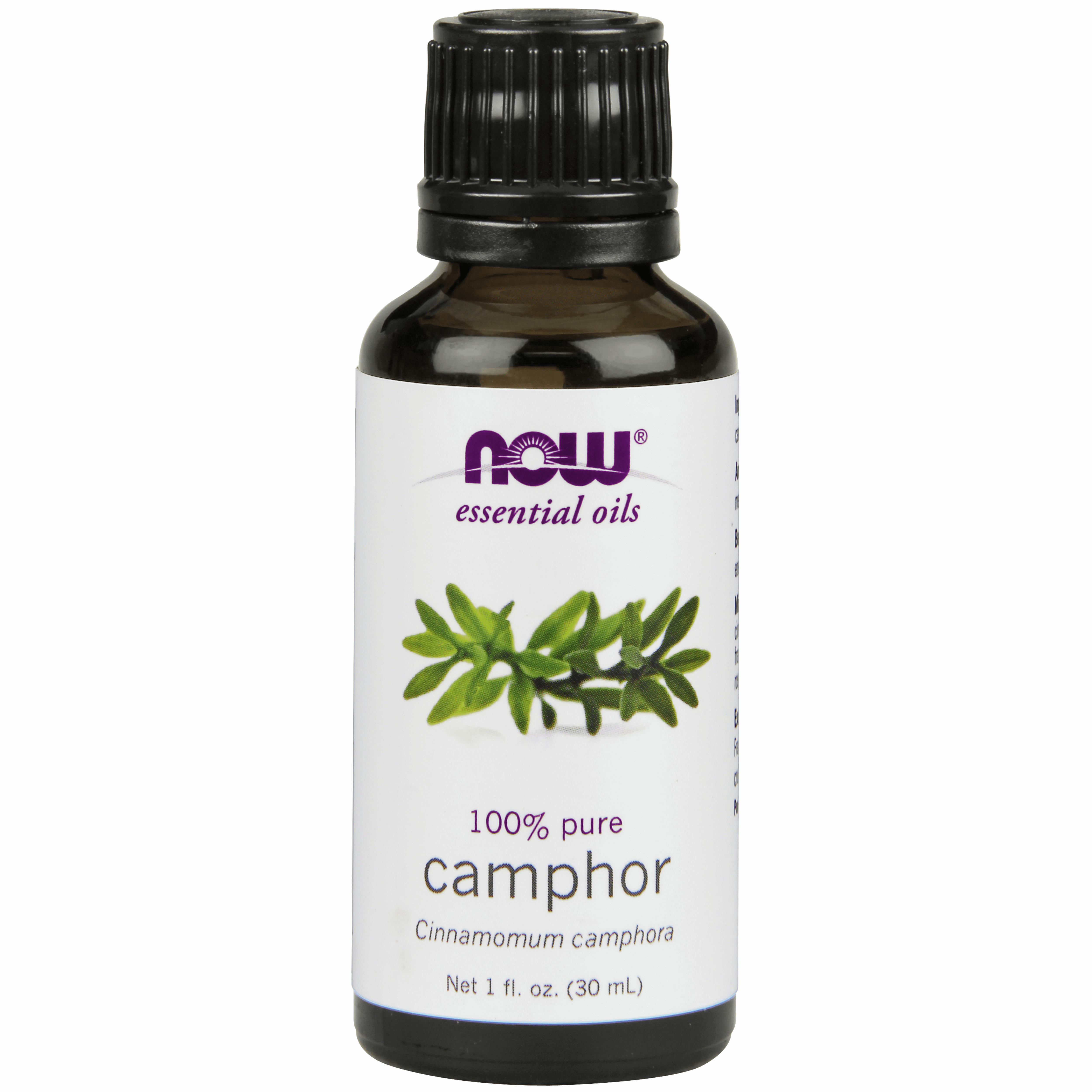 NOW Camphor Oil (Cinnamomum Camphora) EO - 100% Pure 30ml Baby Massage Oil,Camphor,camphor oil,Camphora,Categories: 100% PURE & ORGANIC,Cinnamomum Camphora,Clove Oil,Eucalyptus,Eugenia Caryophyllus,gift,issues,massage oil,NOW Camphor Oil,Now Clove Oil,NOW