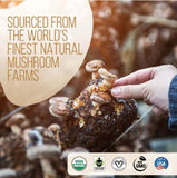 Decafe Instant Mushroom Coffee 35 Servings coffee,Decafe Coffee,Decafe Instant Mushroom Coffee,Multi vitamins,multivitamins,Mushroom Coffee,Rich in vitamins and minerals,vitamins,Vitamins & Supplements,vitamins and minerals,Vitamins and Supplements,vitami