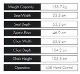 Theorem Ludlow Dual Motor Headrest & Lumbar Recliner 3 Position Lift Chair Recliner,3-Position Recliner,Compact design,Dual Motor Chair Recliner,Dual Motor Headrest & Lumbar Recliner,Dual Motor Recliner,Footrest extension,Headrest & Lumbar Recliner,Indepe