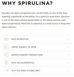 Tropeaka Spirulina (100g) A rich,aromatic,B2,B6,finest organic spices,healthy chlorophyll,issues,Latte Powder,lifestream spirulina performance,organic Superfood,organic turmeric,seductively rich in exotic flavours,soothing drink,spirulina,Tropeaka Spiruli