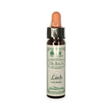 Bach Flowers Larch 10ml