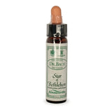 Bach Flowers Star of Bethlehem 10ml