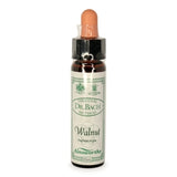 Bach Flowers Walnut 10ml
