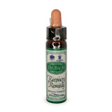 Bach Flowers Recovery Remedy 10ml