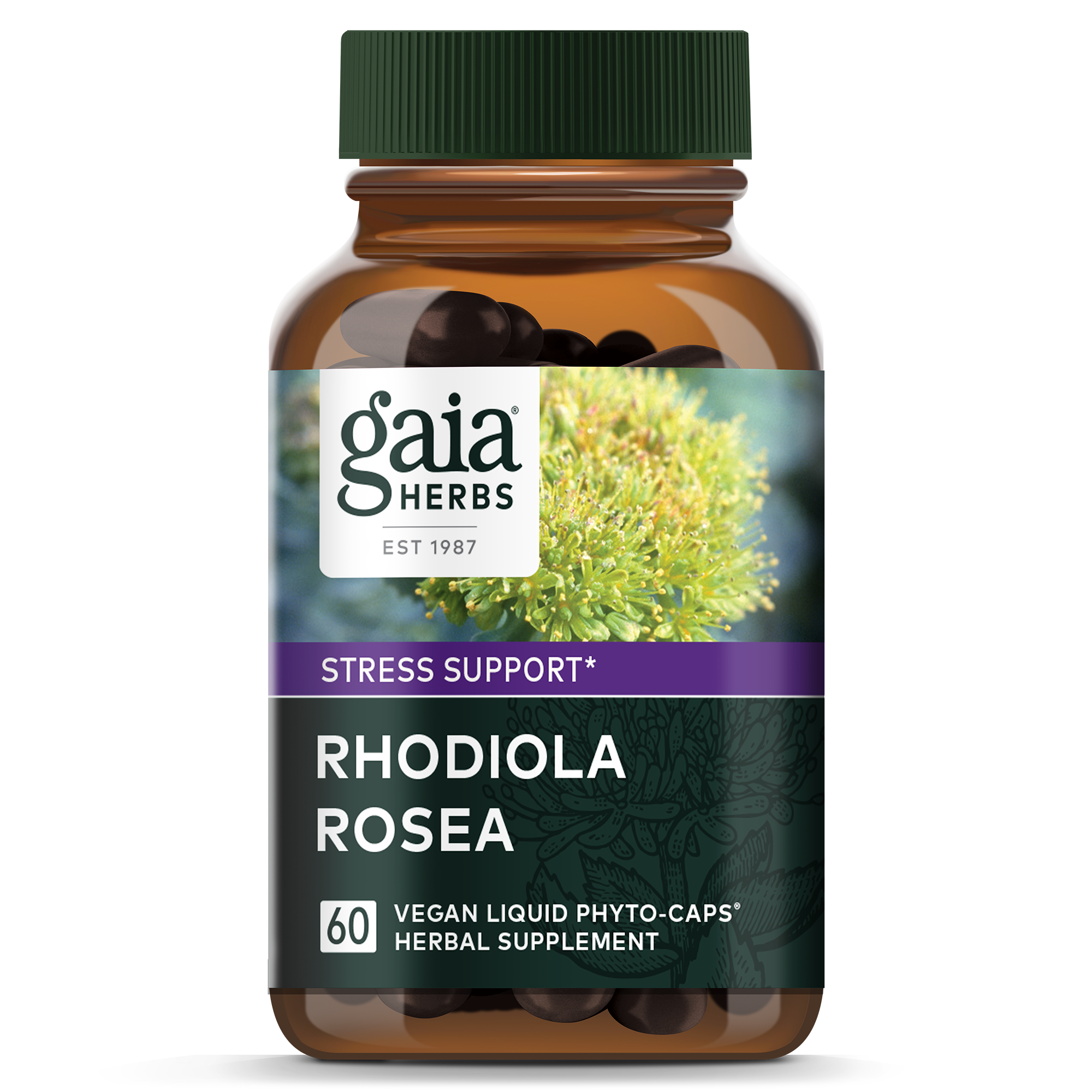 Gaia Herbs Rhodiola Rosea 60 capsules containing Rosavins 6 mg. Other ingredients: Vegetable glycerin,Gaia Herbs Rhodiola Rosea 60 capsules,issues,Siberian Rhodiola (Rhodiola rosea) root extract 120 mg,vegan capsule (hypromellose) and waTER
