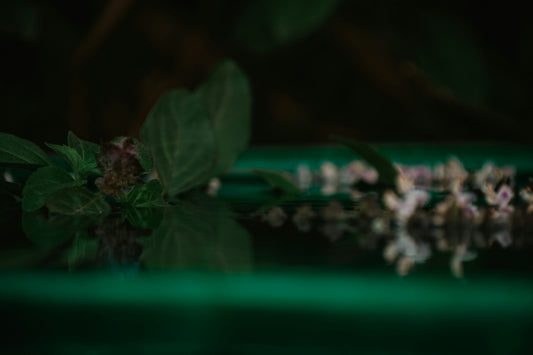 a close up of a flower on a table