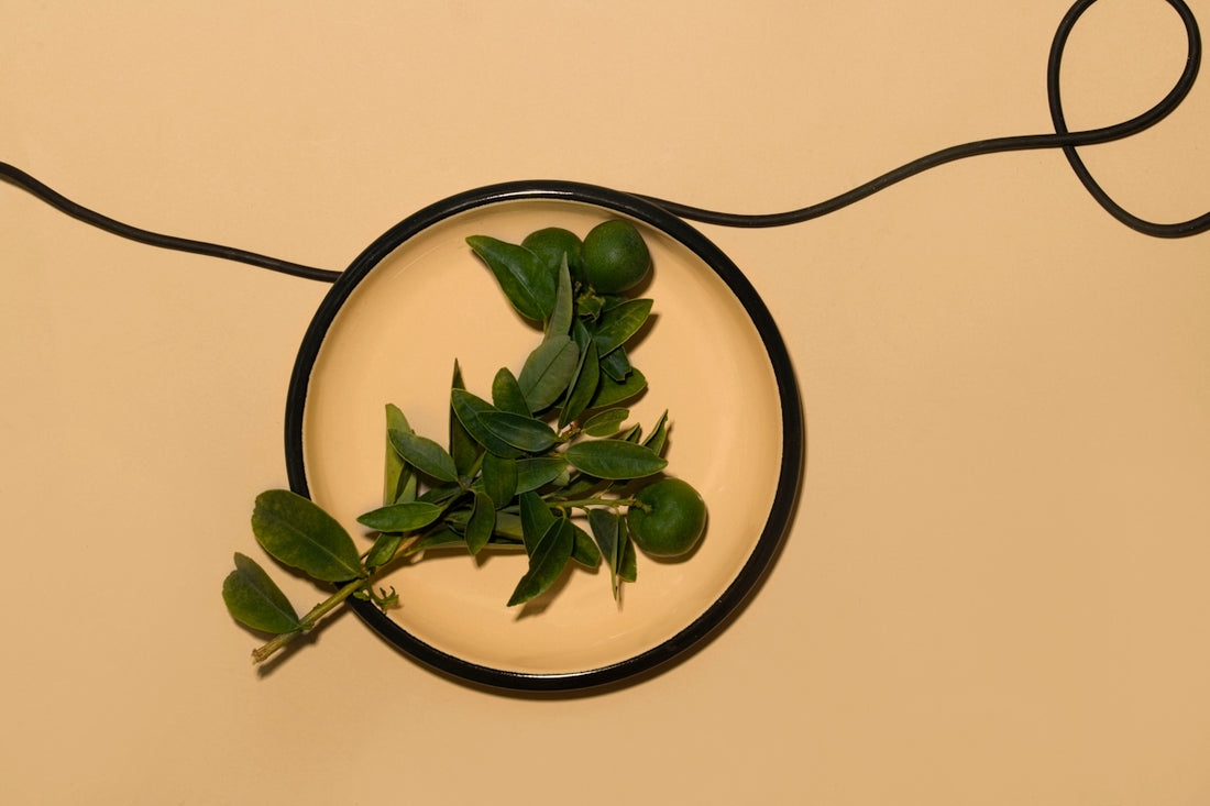 a plate with a bunch of green leaves on it