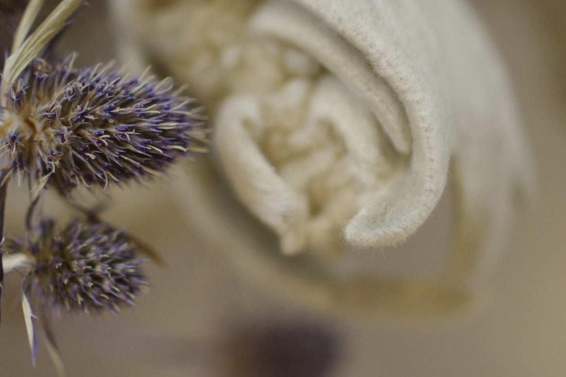 A close up of a flower with a blurry background