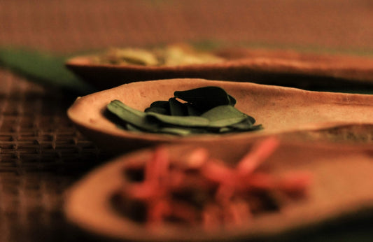 A wooden spoon with some food on it