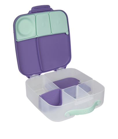 Lunch Box Lilac Pop