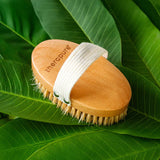 Therapure Ionic Dry Body Brush
