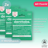 Denttabs Toothpaste Tablets Mint with Fluoride x750 (12 Month Supply) image 2