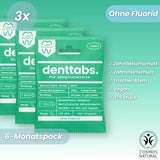 Denttabs Toothpaste Tablets Mint Fluoride-Free x750 (12 Month Supply) image 2