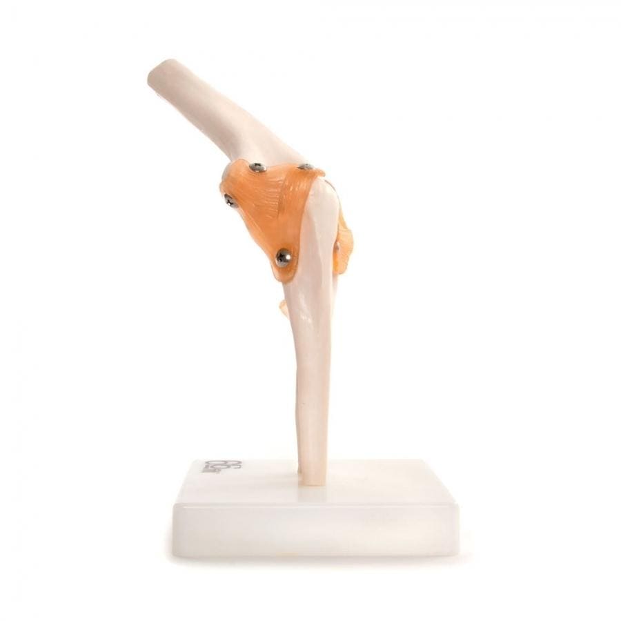 66FIT Elbow Joint