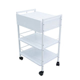 Allcare Trolley - image 4