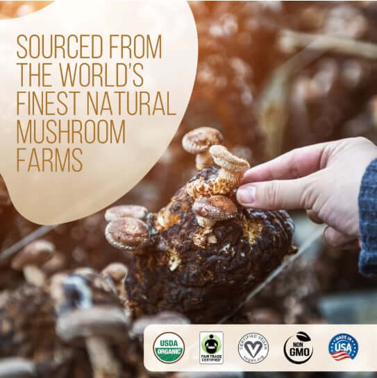 Decafe Instant Mushroom Coffee 35 Servings coffee,Decafe Coffee,Decafe Instant Mushroom Coffee,Multi vitamins,multivitamins,Mushroom Coffee,Rich in vitamins and minerals,vitamins,Vitamins & Supplements,vitamins and minerals,Vitamins and Supplements,vitami
