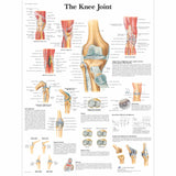 Anatomical Chart - Knee Injuries