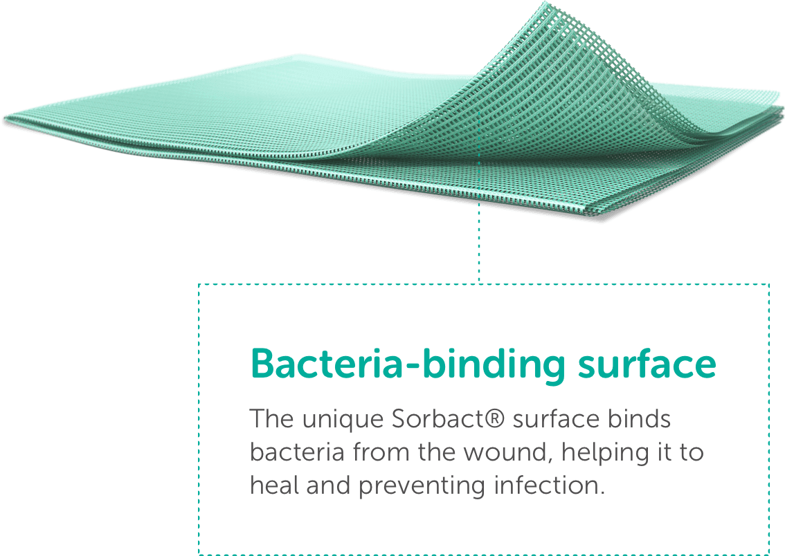 Sorbact Compress back sores,bacteria,diabetes,diabetic ulcers,issues,leg ulcers,ulcers,wound,wounds