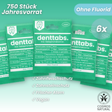 Denttabs Toothpaste Tablets Mint Fluoride-Free x750 (12 Month Supply)
