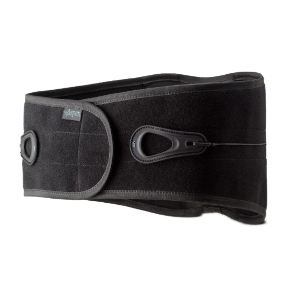 Aspen Lumbar Support - image 4