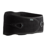 Aspen Lumbar Support - image 3