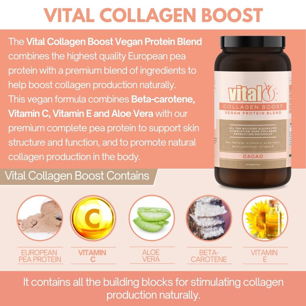 Vital Collagen Boost Vegan Protein Blend Cacao 500GM