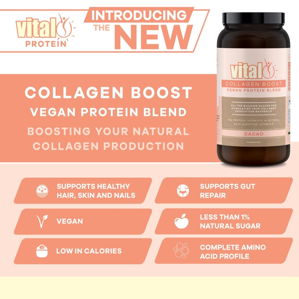 Vital Collagen Boost Vegan Protein Blend Cacao 500GM