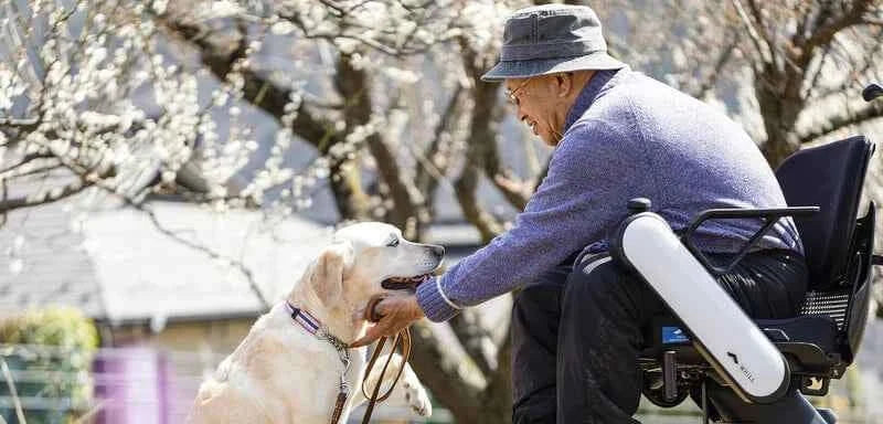 Allied Medical WHILL Model C2 Standard Powerchair Allied Medical WHILL Model C2,maneuverability,Model C2,Omni-wheels,Patented Omni-wheels,powerchair,powerchair accessories,powerchair scooter,Standard Powerchair,superior maneuverability,Travelling with a p