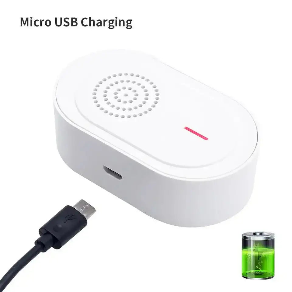 Wireless Rechargeable Caregiver Pager x 2 Call button Pendants Big Button Phones,Care Home Phones with Big Button,Caregiver Pager,Corded Phones,Easyfone,Easyfone 4G Picture Button Cell Phone,Elderly Cell Phone,Elderly Telephony,Emergency Alarm,Pager,Phone