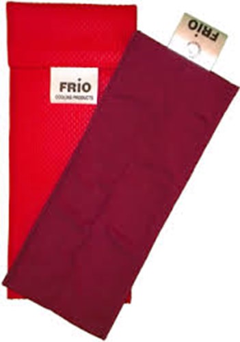 Frio Individual Cooling Wallet for insulin