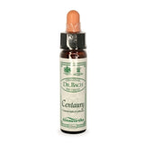 Bach Flowers Centaury 10ml