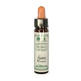 Bach Flowers Gorse 10ml