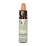 Bach Flowers Scleranthus 10ml