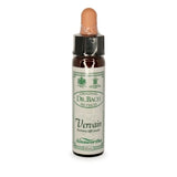 Bach Flowers Vervain 10ml