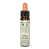 Bach Flowers White Chestnut 10ml