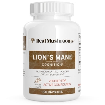 Lion's Mane Extract - 120 caps product image