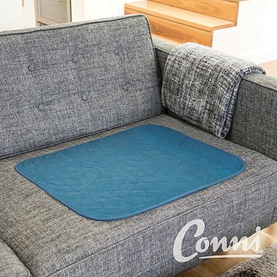Conni Chair Pad Teal Blue Large 51x61cm