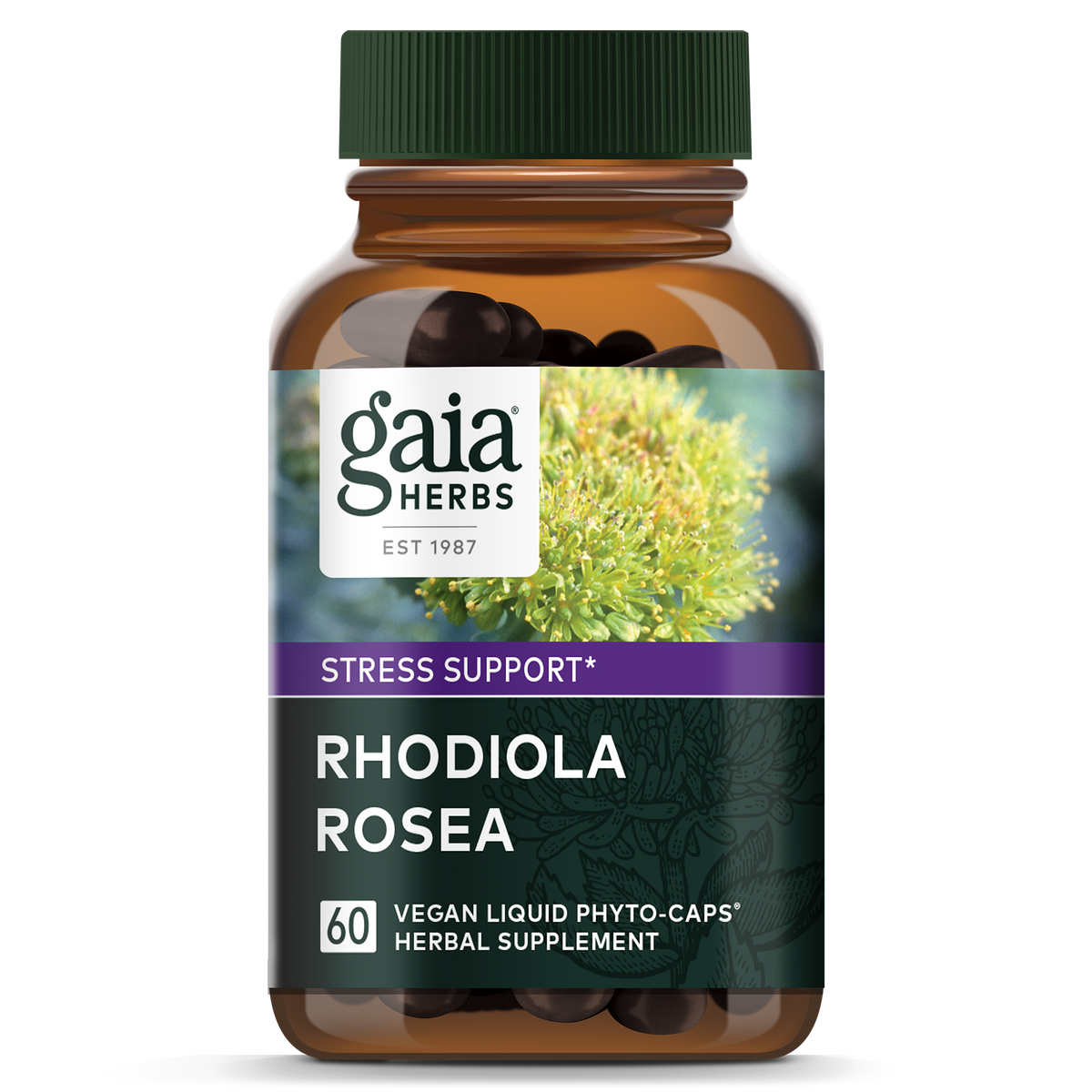 Gaia Herbs Rhodiola Rosea 60 capsules