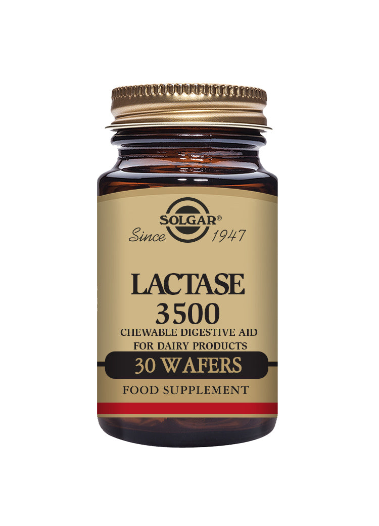 SOLGAR Lactase 3500 30 Waffers