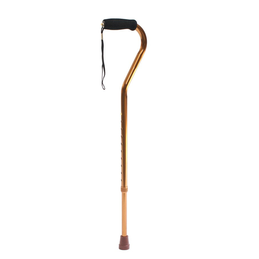 Swan Handled Cane